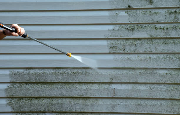 Best Pressure Washing Driveway  in Deltana, AK