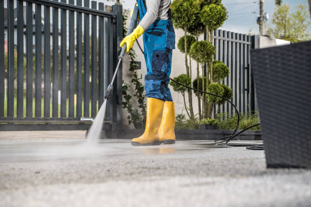 Best Roof Power Washing Services  in Deltana, AK