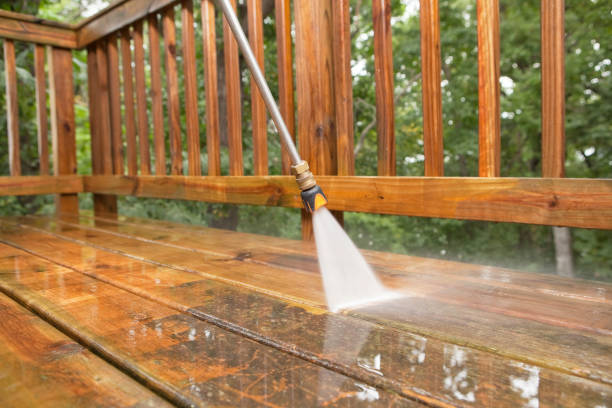 Best Affordable Pressure Washing  in Deltana, AK