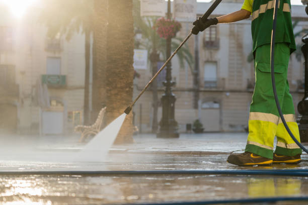 Best Residential Pressure Washing Services  in Deltana, AK